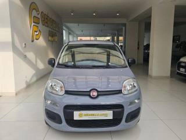 Fiat Panda 1.0 Firefly S&s Hybrid Da ?119,00 Mensili  