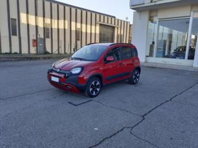 Fiat Panda Promo Finanziamento 1.0 Firefly S&s Hybrid Red 