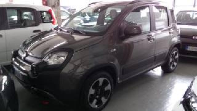 Fiat Panda Cross 1.0 Firefly S&s Hybrid Rottamazione 