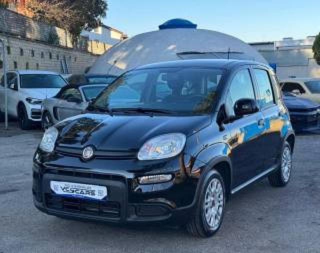 Fiat Panda 1.0 Firefly S&s Hybrid *promo Finanziamento* 