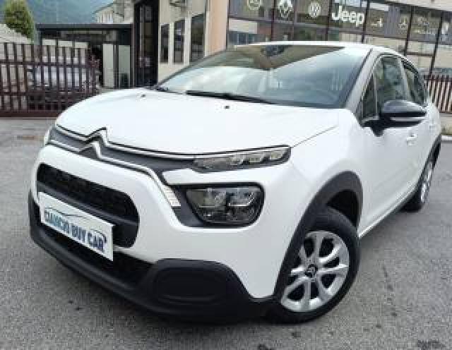 Citroen C3 Bluehdi 100 S&s Business Autocarro N1 5 Posti  