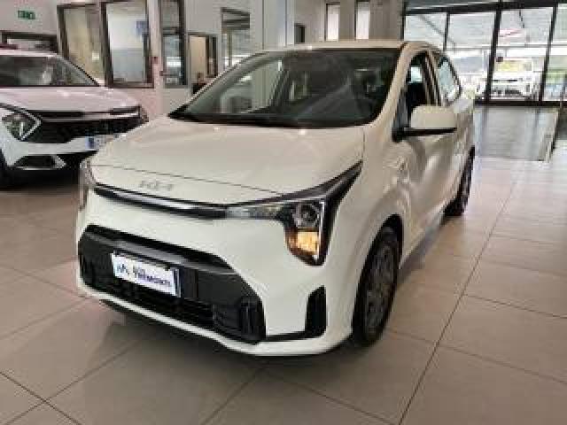 Kia Picanto 1.0 12v 5 Porte Urban 