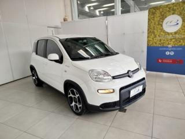 Fiat Panda 1.0 Firefly S&s Hybrid Red 