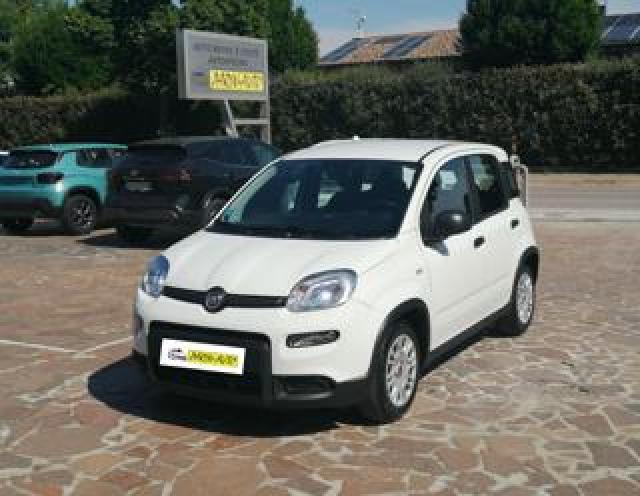 Fiat Pandina 1.0 Firefly 65 Cv Hybrid Icon 4 Posti 