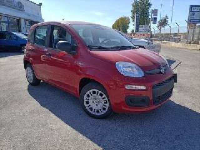 Fiat Panda 1.0 Hybrid Kit 5 Posti!! Prezzo Reale 