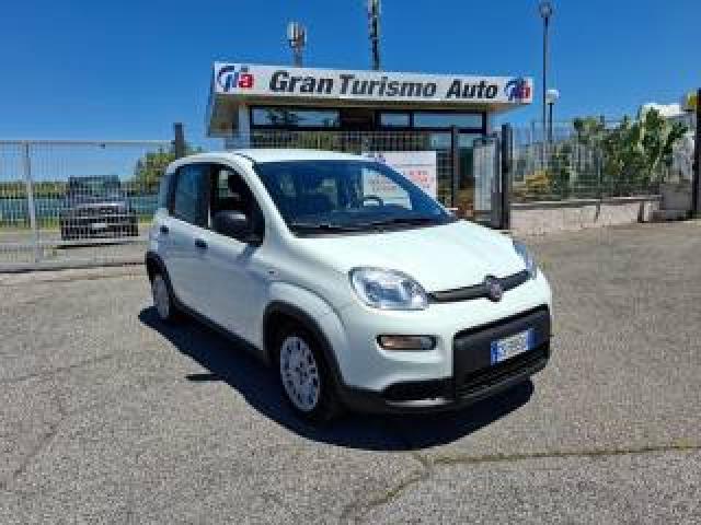 Fiat Panda 1.0 Firefly Hybrid City Life 5posti Prezzo Reale! 