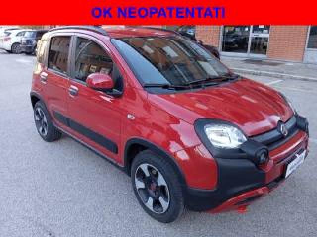 Fiat Panda Cross 1.0 Firefly S&s Hybrid 5 Posti Ok Neopatentati 