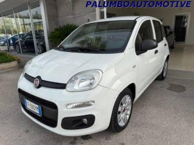 Fiat Panda 1.3 Mjt 80 Cv S&s Easy 