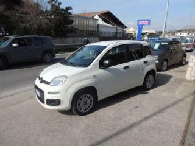 Fiat Panda 1.2 Pop  Autocarro N1 