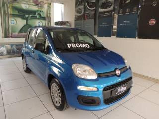 Fiat Panda 1.0 Firefly Hybrid Icon 