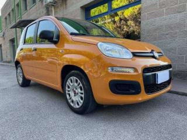 Fiat Panda 1.0 Firefly Hybrid 69cv Bluetooth Adatta Neopat. 