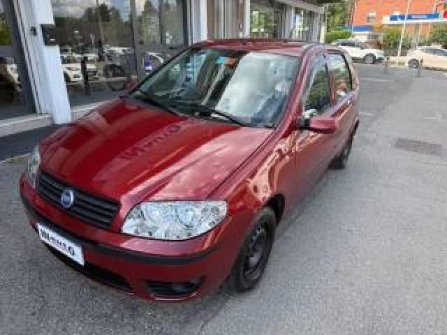 Fiat Punto Classic 1.2 5 Porte Dynamic Bellissima 