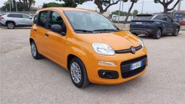 Fiat Panda 3ª Serie  1.0 Firefly S&s Hybrid 