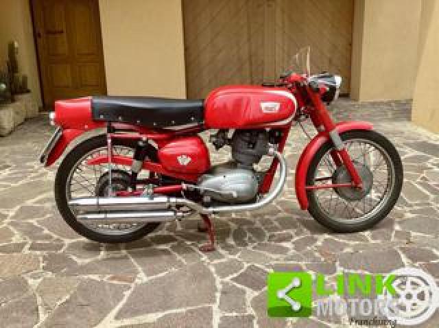 Morini