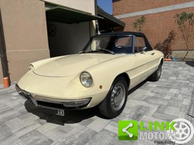 Alfa Romeo Spider 1.3 Junior Osso Di Seppia Completamente Restaurata 