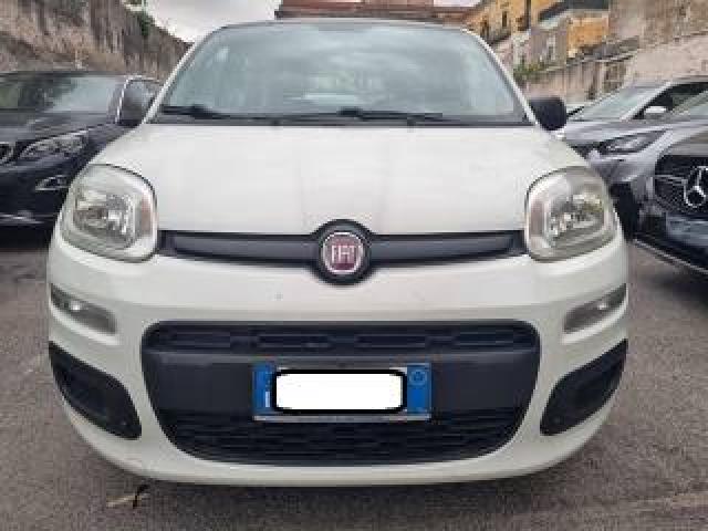 Fiat Panda 1.2 Young 