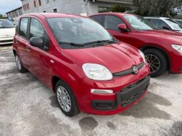 Fiat Panda 1.0 Firefly S&s Hybrid Icon 