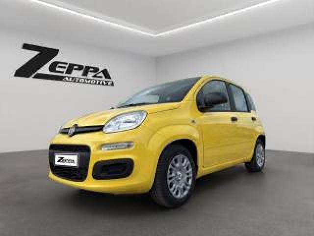 Fiat Pandina 1.0 Firefly 65 Cv Hybrid Pop + Gpl 