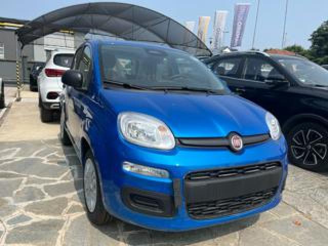 Fiat Panda 1.0 Firefly S&s Hybrid Km Zero Pronta Consegna 
