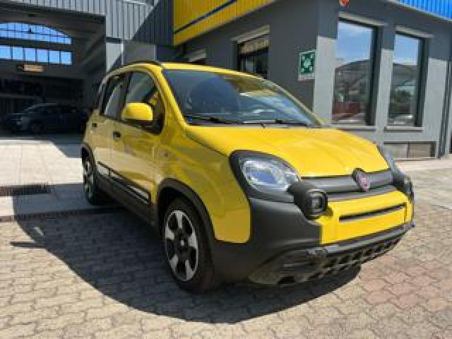 Fiat Panda 1.0 Firefly S&s Hybrid Pandina In Pronta Consegna 