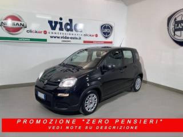 Fiat Panda 1.0 Firefly S&s Hybrid Ok Neopatentati 