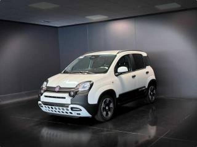 Fiat Panda 1.0 Firefly S&s Hybrid Pandina 