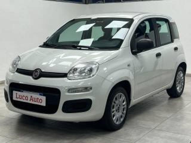 Fiat Panda 1.2 69cv *unico Prop.*tagliandi Cert.*ok Neopat.* 