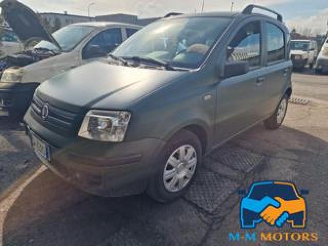 Fiat Panda 1.2 Dynamic Distribuzione Nuova 