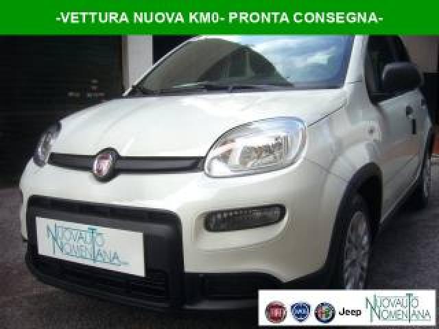 Fiat Panda 1.0 Firefly S&s Hybrid Pandina Urban Radio Km 0 