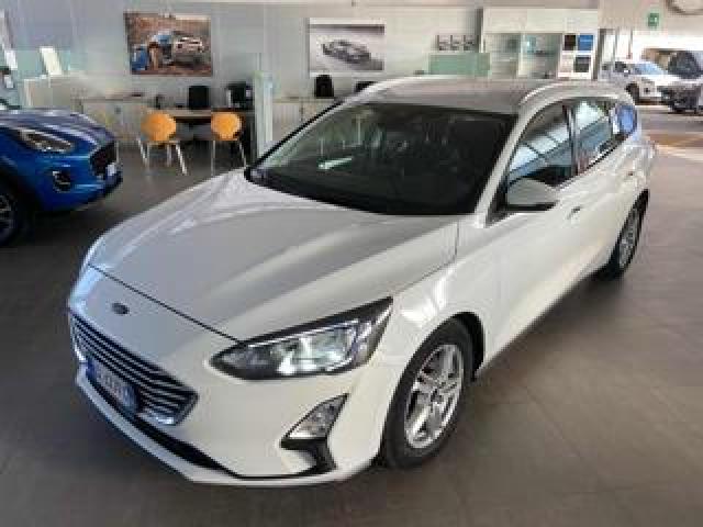 Ford Focus 1.5 Ecoblue 120 Cv Automatico Sw Business Co-Pilot 