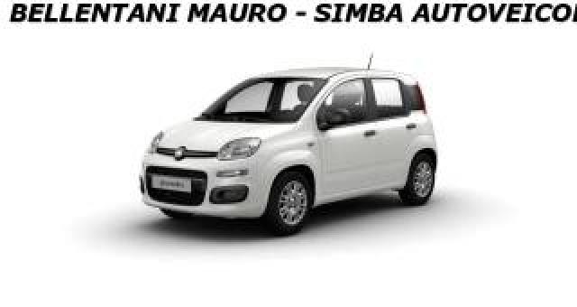 Fiat Panda 1.0 Firefly S&s Hybrid Icon 