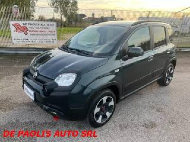 Fiat Panda Cross 1.0 Firefly S&s Hybrid Verde 