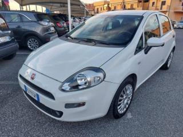 Fiat Punto 1.2 8v 5 Porte Street Uniprò Km 95000 Neopatentati 