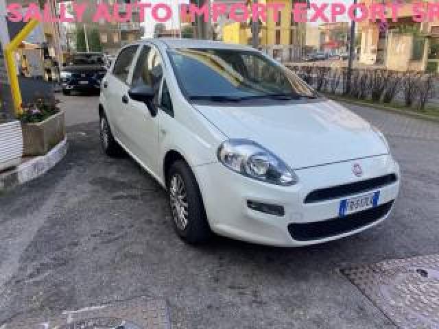 Fiat Punto 1.2 8v 5 Porte Street 