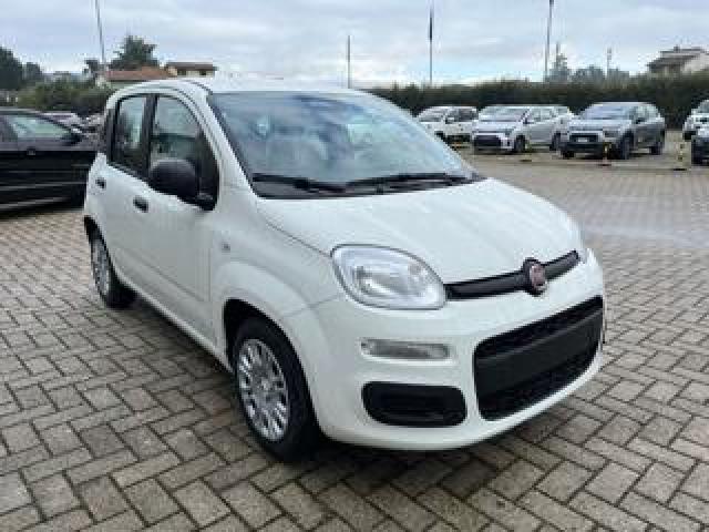 Fiat Pandina 1.0 Firefly 70 Cv Hybrid Icon 
