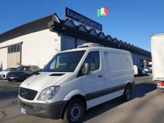 Mercedes Benz Sprinter Frigo  Atp Ok Motore Nuovo 