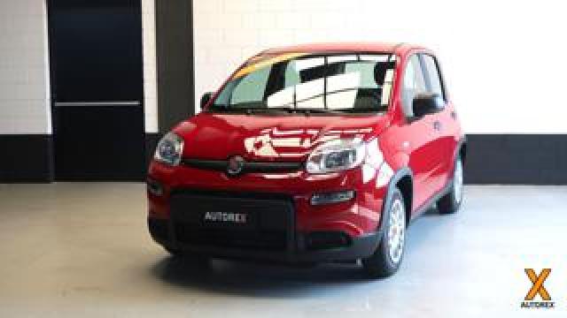 Fiat Panda 1.0 Firefly S&s Hybrid Per Neopatentati 