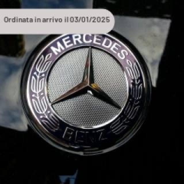 Mercedes Benz