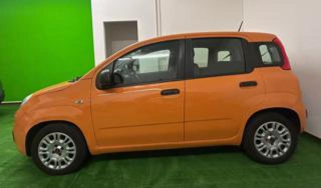 Fiat Panda 1.0 Firefly S&s Hybrid Easy 