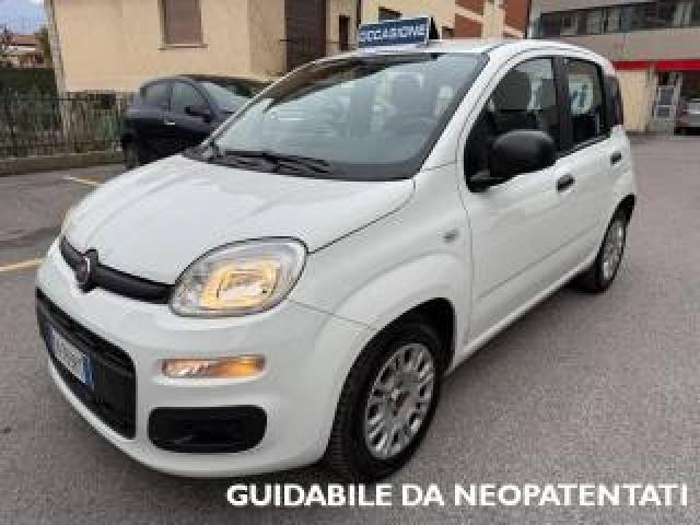 Fiat Panda 1.2 Easy 69cv S&s E6d Temp. ***ok Neopatentati*** 