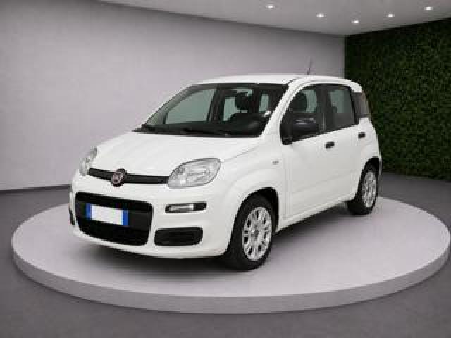 Fiat Panda Iii 1.0 Firefly 70cv S&s Hybrid Easy 