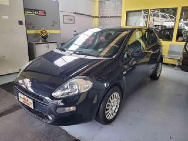 Fiat Punto 1.2 8v 5 Porte Street Neopatentati 