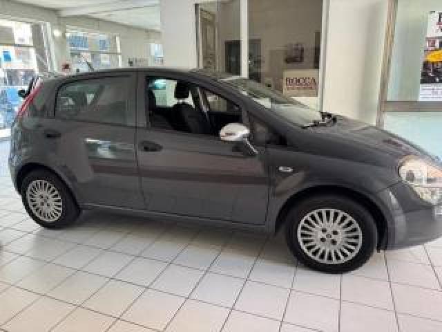 Fiat Punto 1.2 8v 5 Porte Easy Gpl 