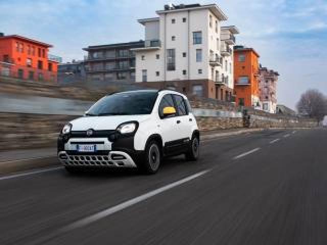 Fiat Panda 1.0 Firefly S&s Hybrid Pandina 