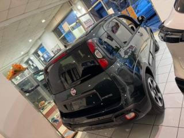 Fiat Panda 1.0 Firefly S&s Hybrid Pandina 