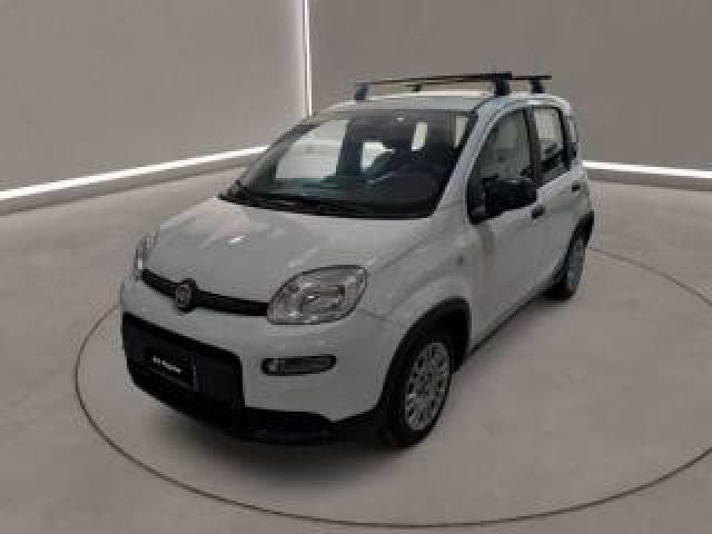 Fiat Panda 3ª Serie -  1.0 Firefly S&s Hybrid 