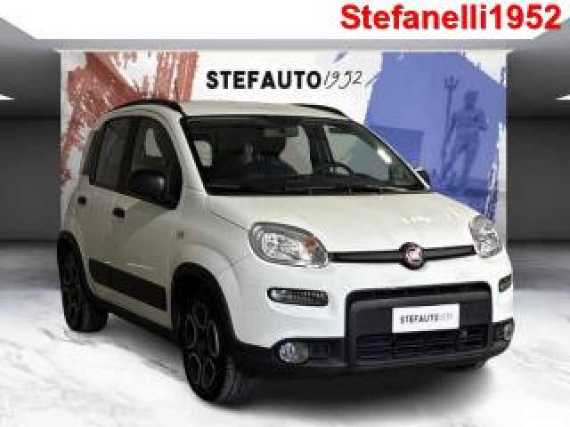 Fiat Panda Iii 2021 -  1.2 Easypower Sport Gpl S&s 69cv 