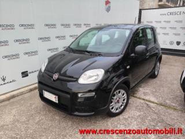 Fiat Panda 1.0 Firefly S&s Hybrid City Life - Aziendale 