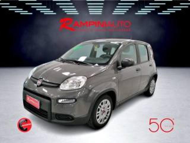 Fiat Panda 1.0 Firefly Hybrid Km 34.000 Pronta Consegna  