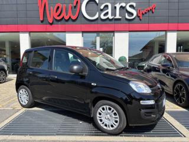 Fiat Pandina 1.0 Firefly 65 Cv Hybrid Icon 